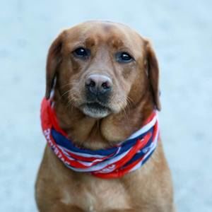 Meet your Posher, Jody church